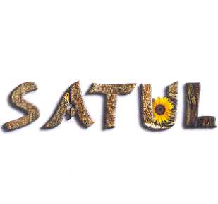 SATUL