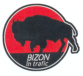 BIZON ÎN TRAFIC