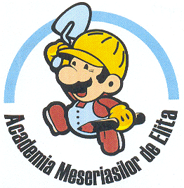 ACADEMIA MESERIASILOR DE ELITA