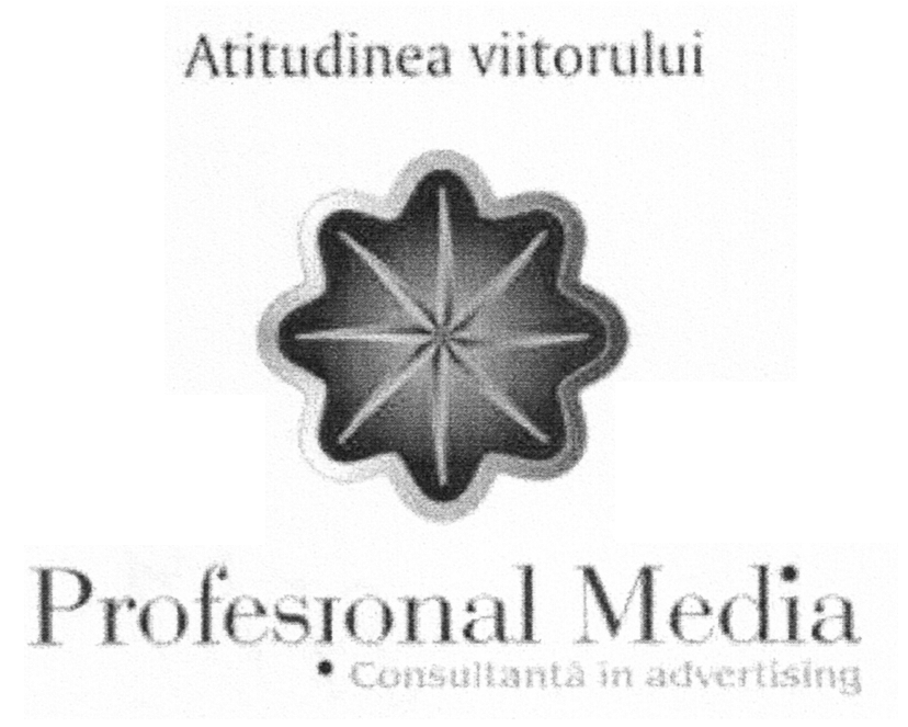 PROFESIONAL MEDIA ATITUDINEA VIITORULUI