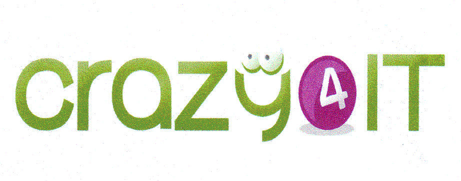 CRAZY 4 IT
