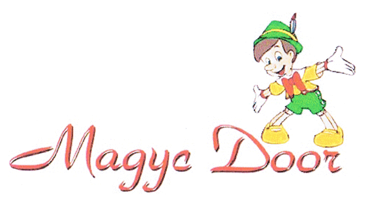 MAGYC DOOR