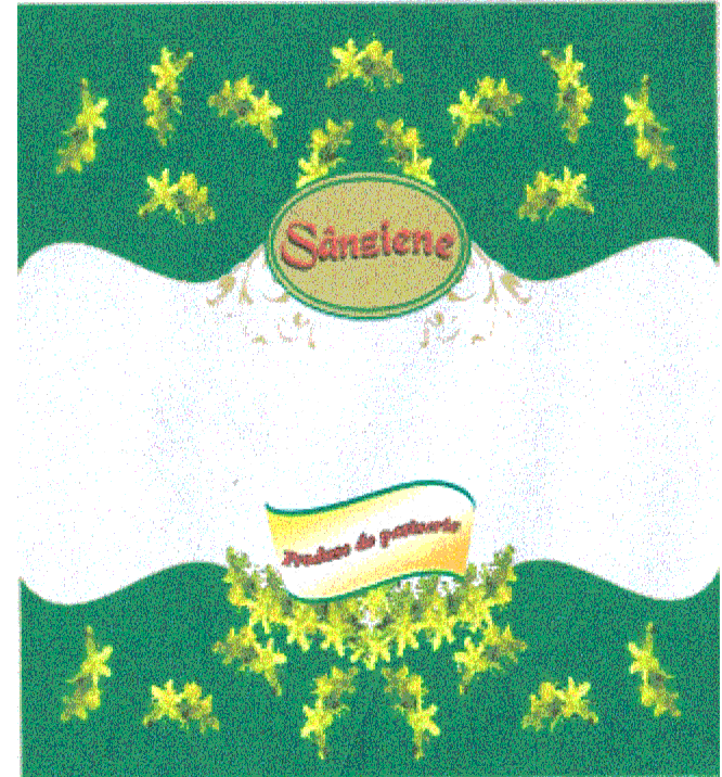 SÂNZIENE