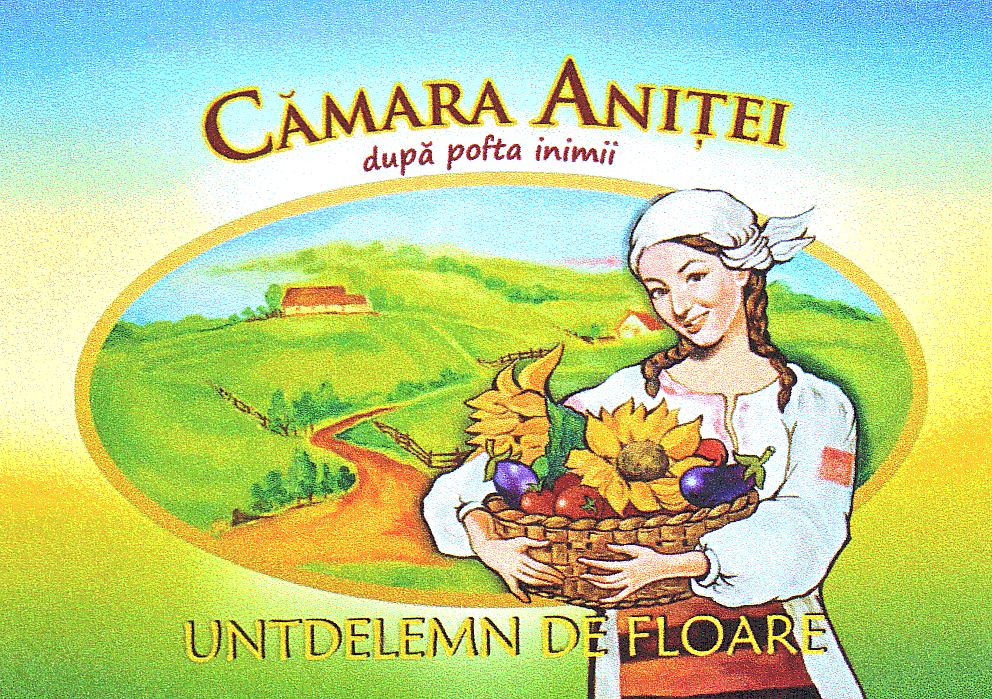 CĂMARA ANIŢEI