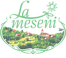 LA MESENI
