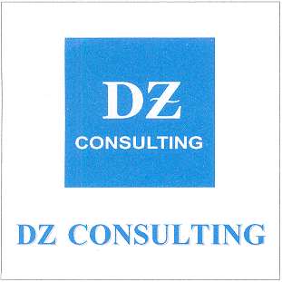 DZ CONSULTING