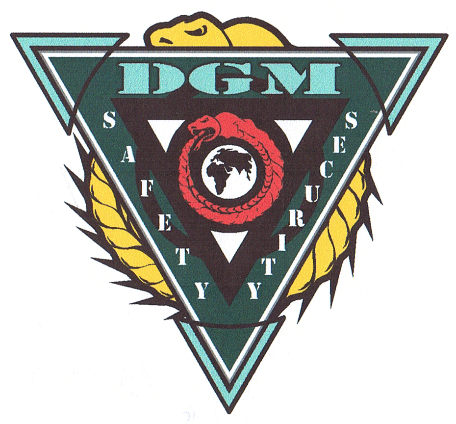 DGM SAFETY SECURITY