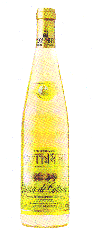 GRASĂ DE COTNARI