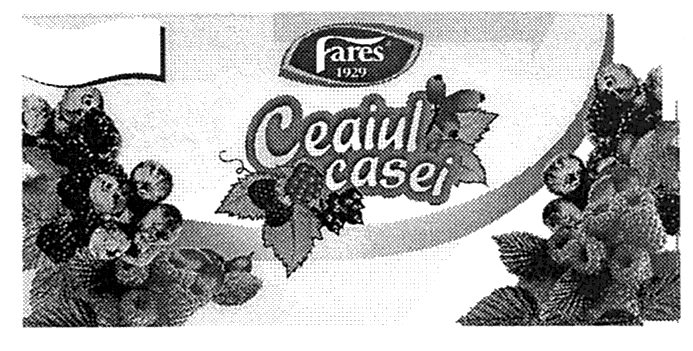 FARES - CEAIUL CASEI