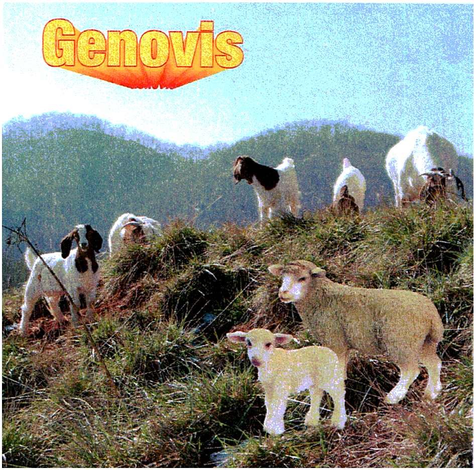 GENOVIS