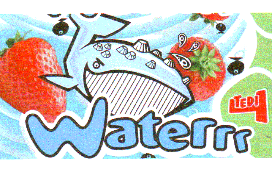 TEDI Waterrr