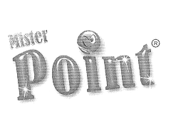 MISTER POINT