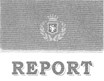 REPORT
