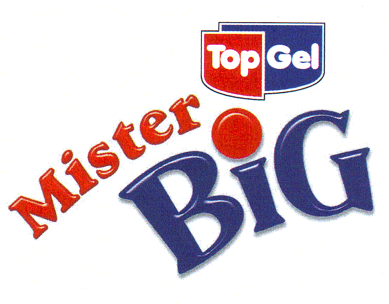 Top Gel Mister BiG
