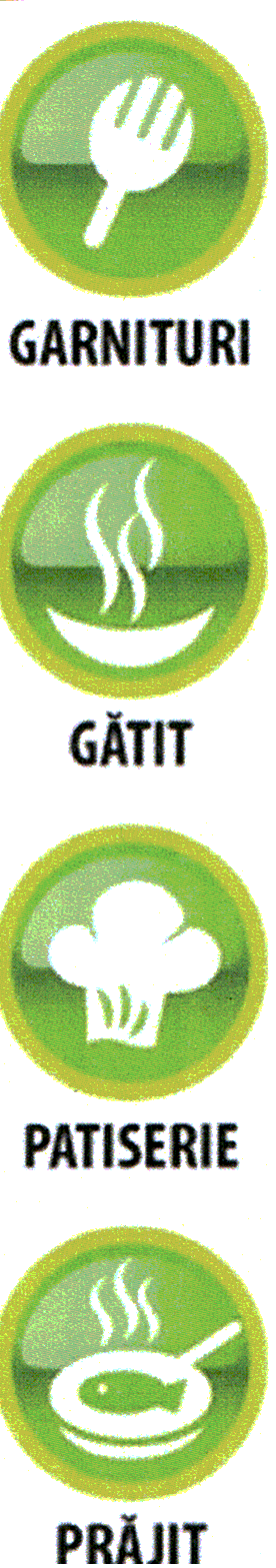 GARNITURI - GĂTIT - PATISERIE - PRĂJIT