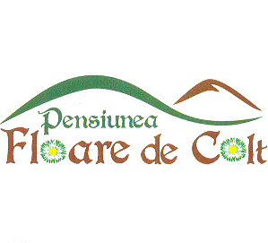 PENSIUNEA FLOARE DE COLT