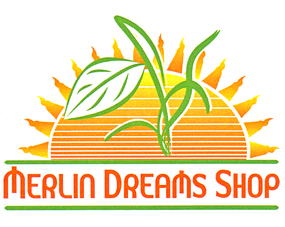 MERLIN DREAMS SHOP