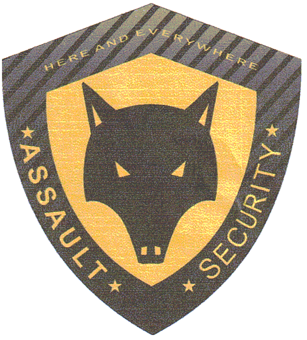 ASSAULT SECURITY