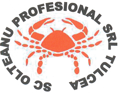 SC OLTEANU PROFESIONAL SRL