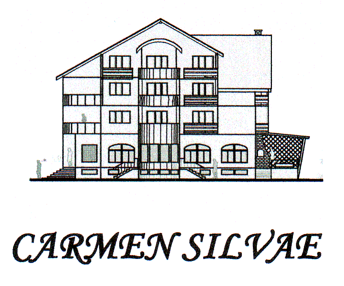 CARMEN SILVAE