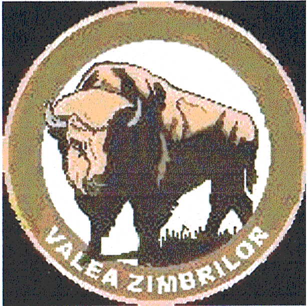 VALEA ZIMBRILOR