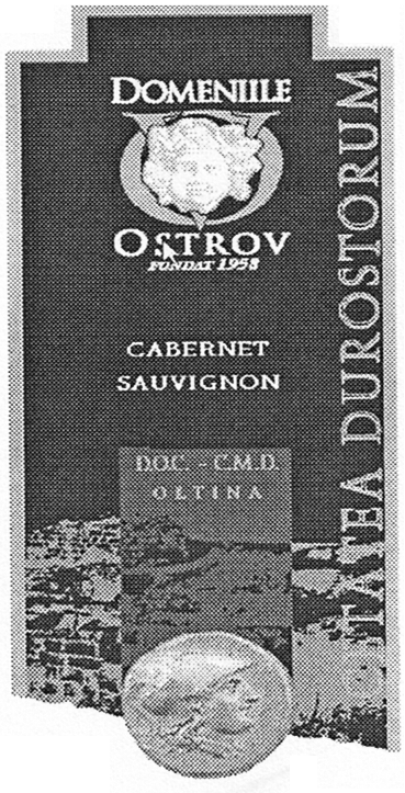 CETATEA DUROSTORUM