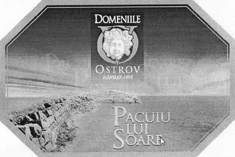 PACUIU LUI SOARE