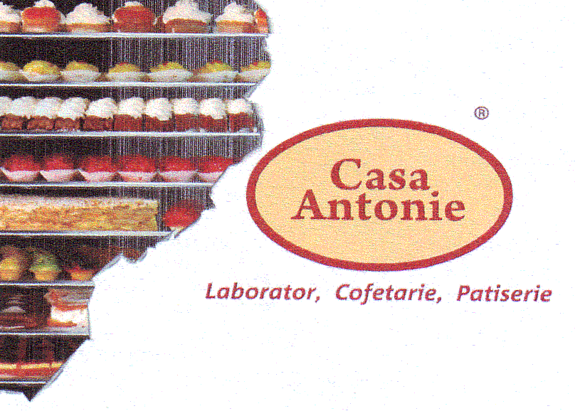 Casa Antonie