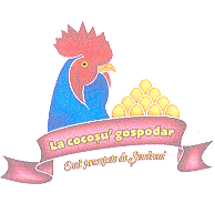 LA COCOŞU' GOSPODAR OUĂ PROASPETE DE ŞENDRENI