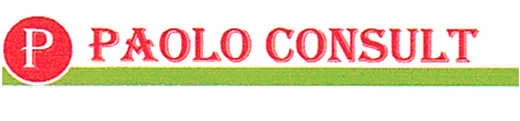 P PAOLO CONSULT