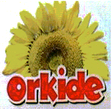 ORKIDE
