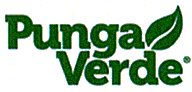 Punga Verde
