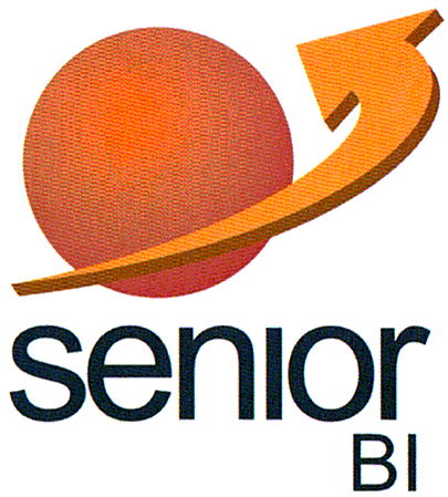 senior BI