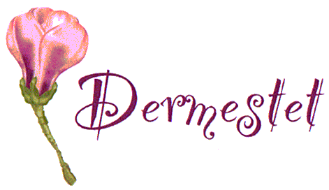Dermestet
