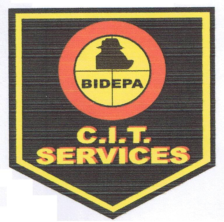 BIDEPA C.I.T. SERVICES