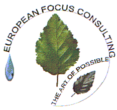 EUROPEAN FOCUS CONSULTING THE ART OF POSSIBLE