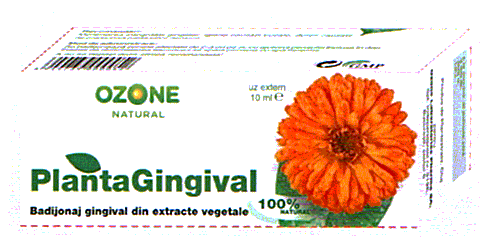 PLANTAGINGIVAL