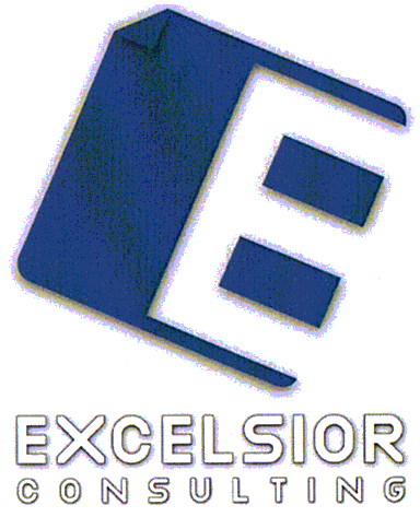 EXCELSIOR CONSULTING