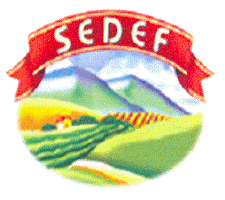 SEDEF