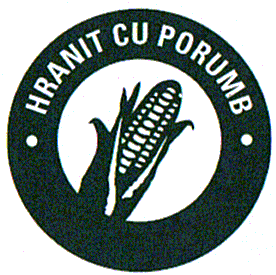 HRANIT CU PORUMB