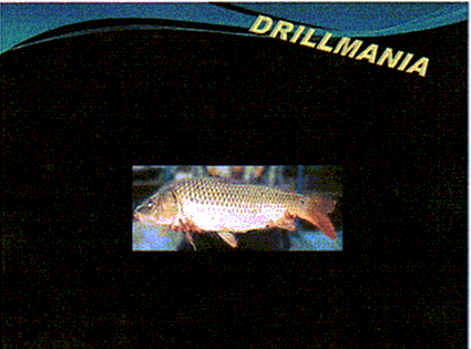 DRILLMANIA