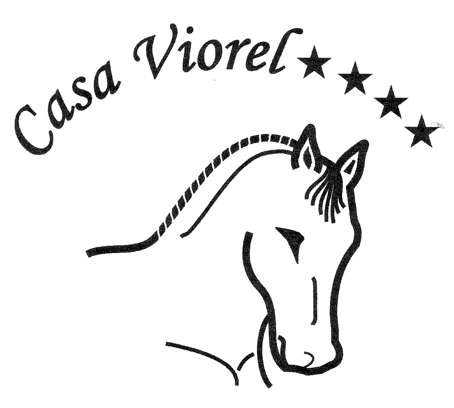 CASA VIOREL