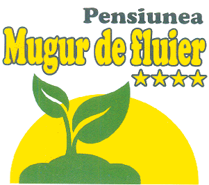 PENSIUNEA MUGUR DE FLUIER