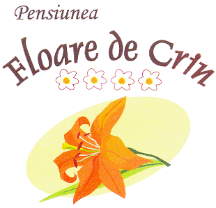 PENSIUNEA FLOARE DE CRIN