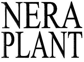 NERA PLANT