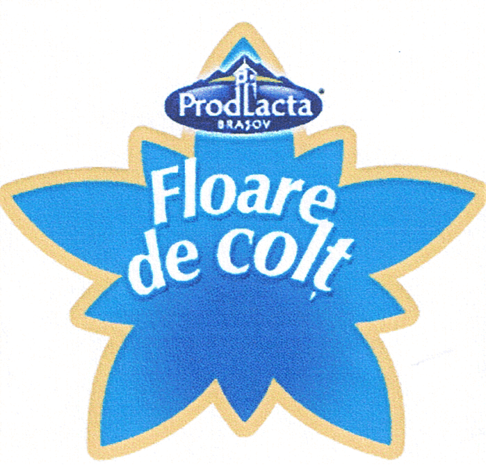 FLOARE DE COLT