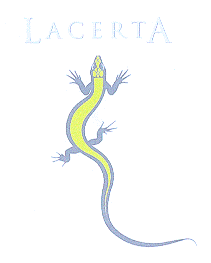 LACERTA