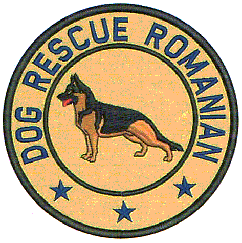 DOG RESCUE ROMANIAN
