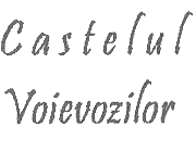 Castelul Voievozilor