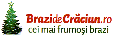 BrazideCrăciun.ro cei mai frumoşi brazi